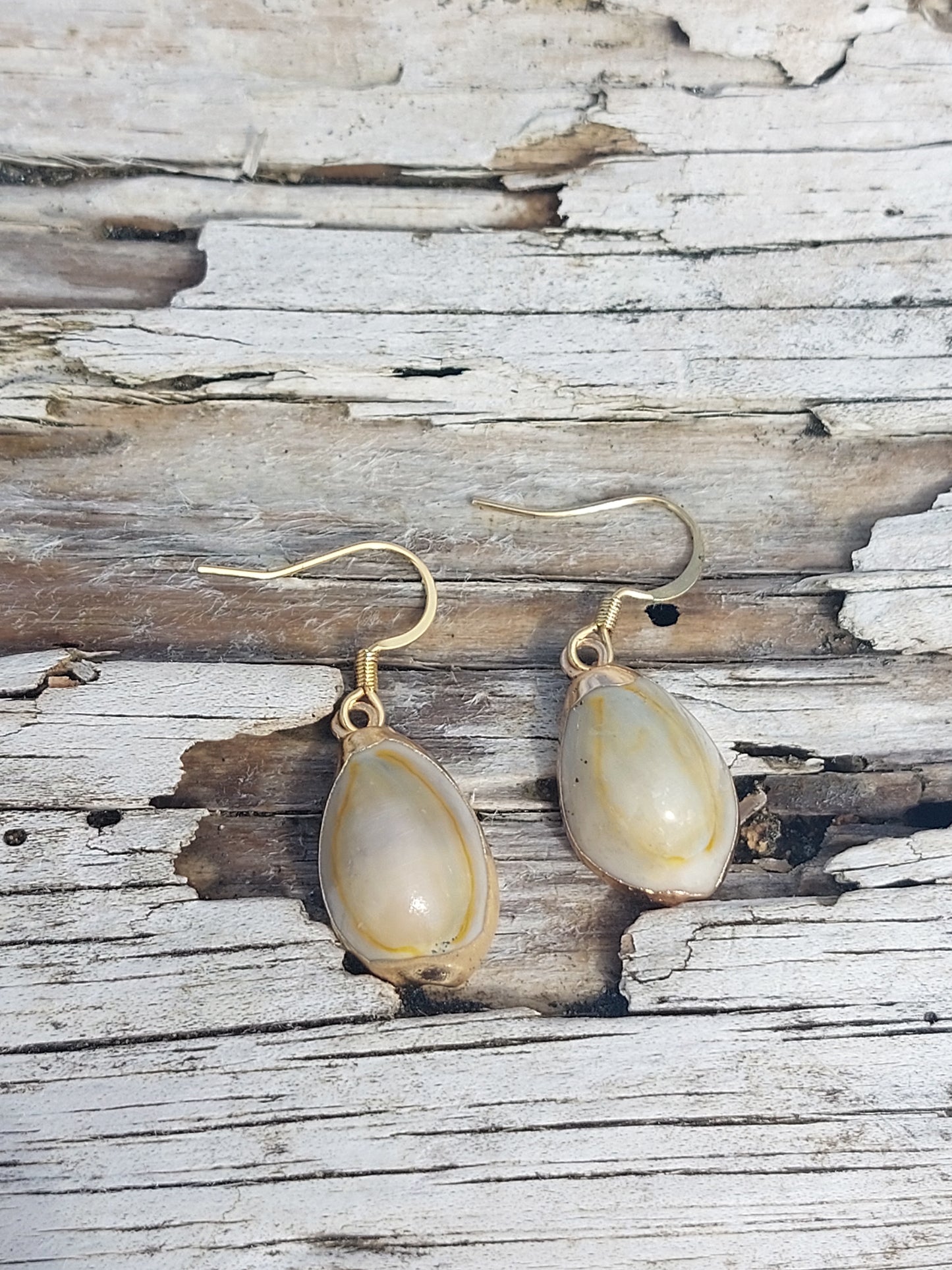 Beach Daze - Gold Tipped Cowrie Earrings